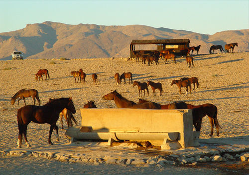 Klein-Aus Vista Desert Horse Inn Εξωτερικό φωτογραφία